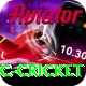 uc cricket App