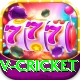 v cricket Deluxe Edition v5.9.3