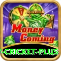 v cricket Live Casino Master