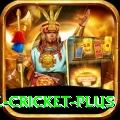 watch live cricket Premium PK v1.1.7