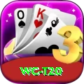 wc t20 Deluxe v5.7.6