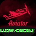 willow cricket Gold v1.8.1