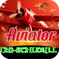 world t20 schedule Premium v1.7.5